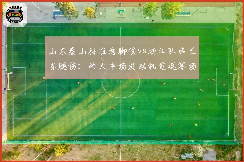 山东泰山孙准浩脚伤vs浙江队弗兰克腿伤：两大中场发动机重返赛场倒计时